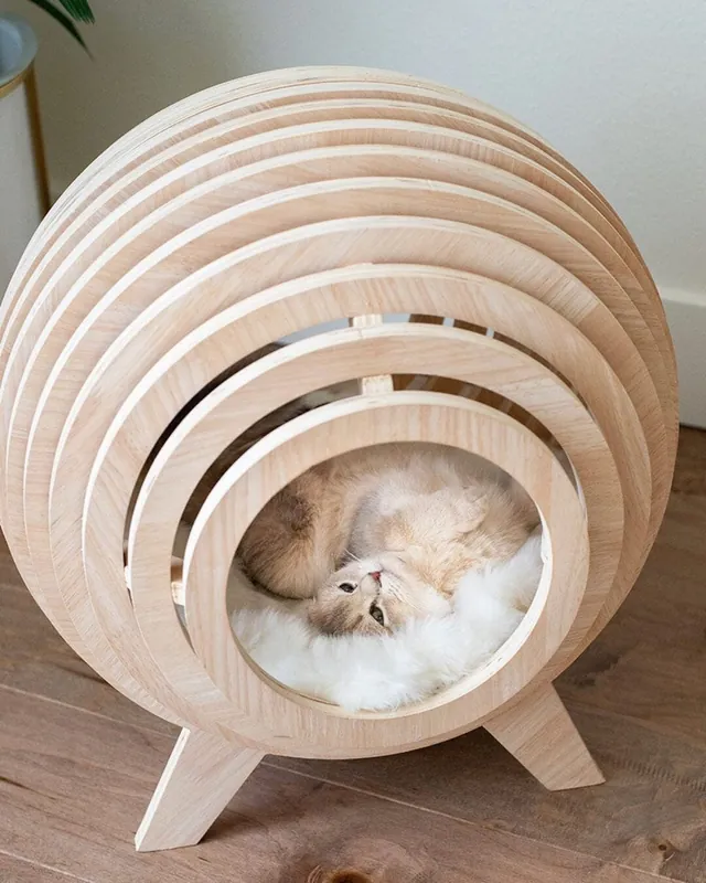Parametric sliced-rib pet bed built from stacked board ribs